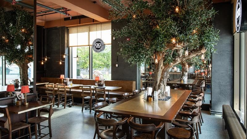 A spacious restaurant area with several olive trees, wooden chairs, table lamps, and large windows letting in natural light