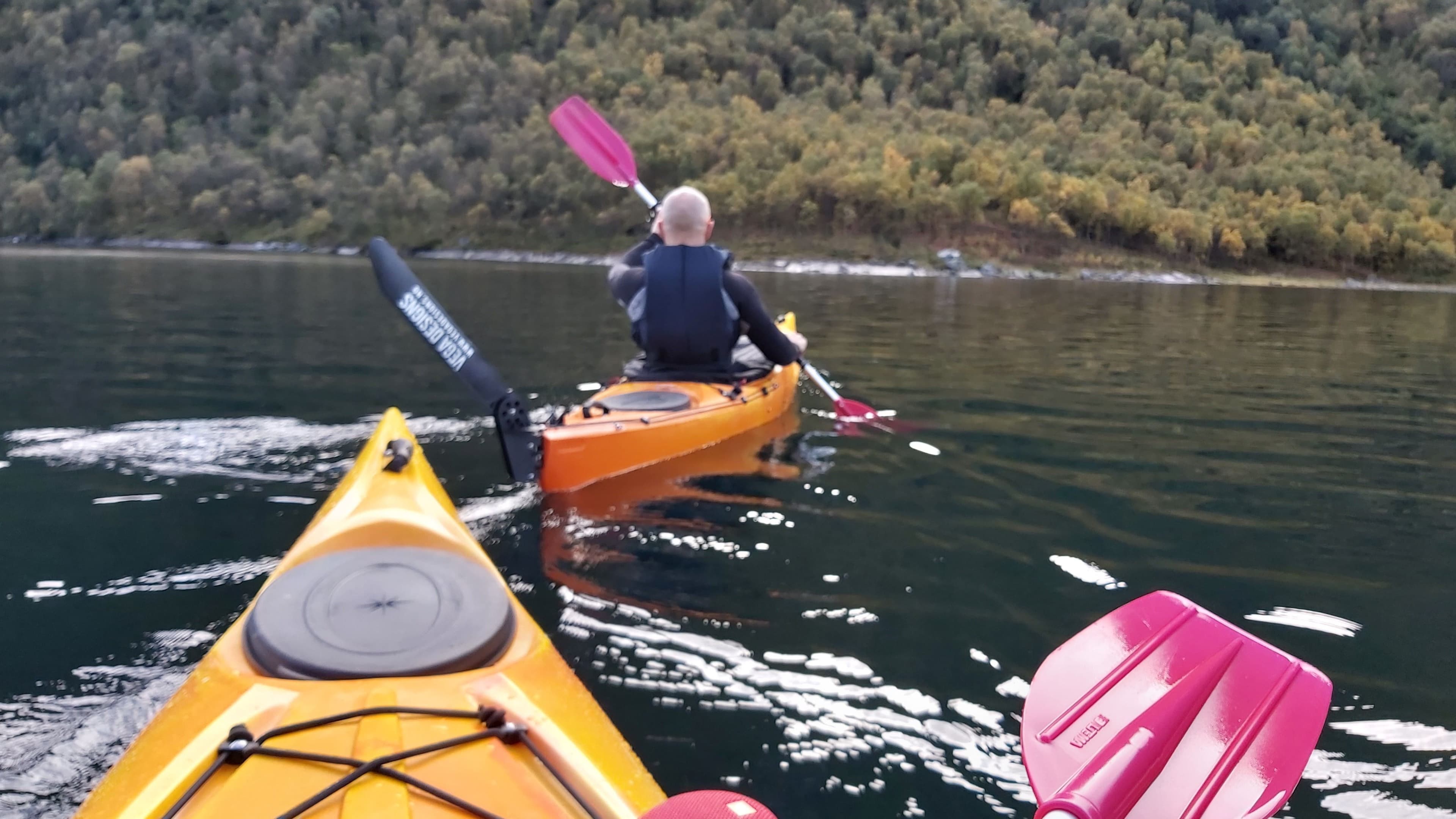 Kayak rental