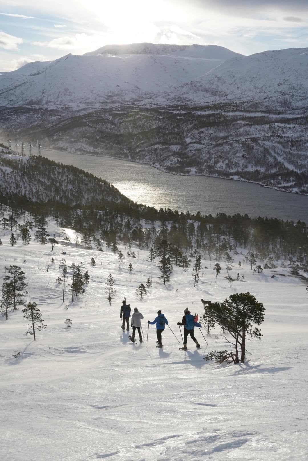 Snowshoeing along the fjord + Norwegian outdoor lunch