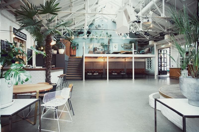 Interior with a high ceiling and lots of plants.